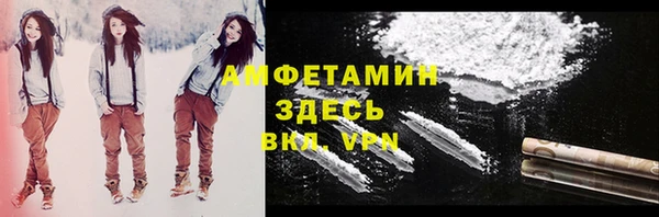 гидра Богородицк