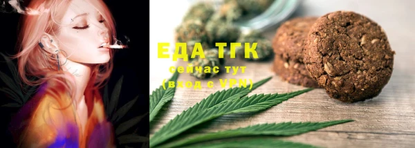 гидра Богородицк