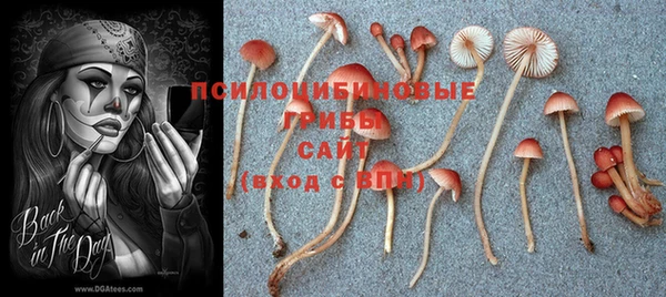 гидра Богородицк