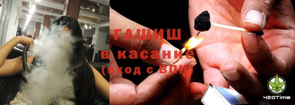 гидра Богородицк