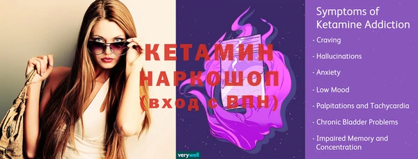 гидра Богородицк
