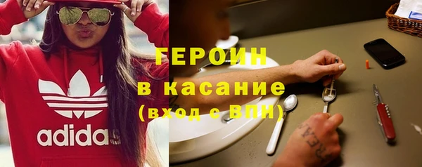 гидра Богородицк