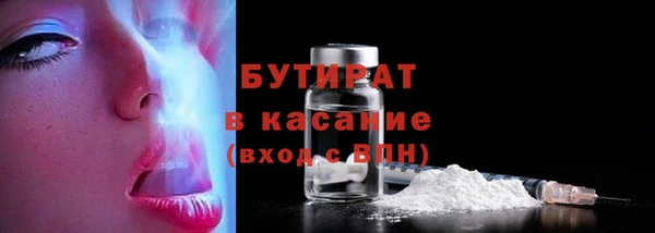 гидра Богородицк