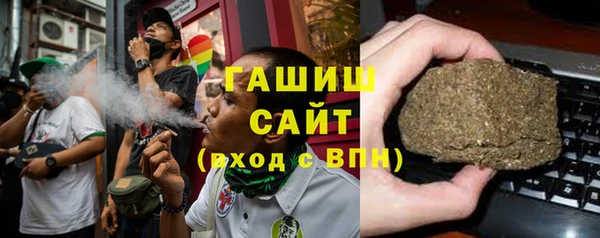гидра Богородицк