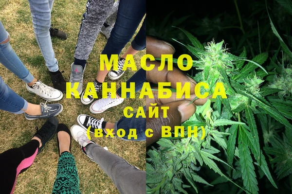 гидра Богородицк
