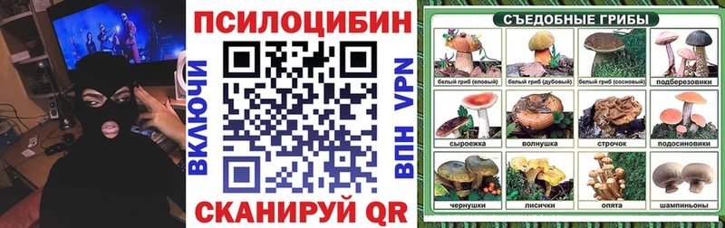 ссылка на мегу как войти  дарнет шоп  Тихвин  Галлюциногенные грибы ЛСД 